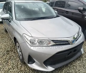 Toyota Corolla Fielder 2019 Silver