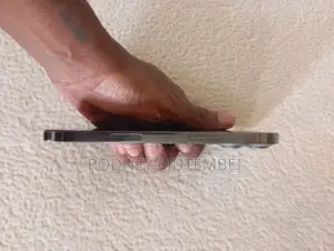 Apple iPhone 13 Pro Max 256 GB Gray