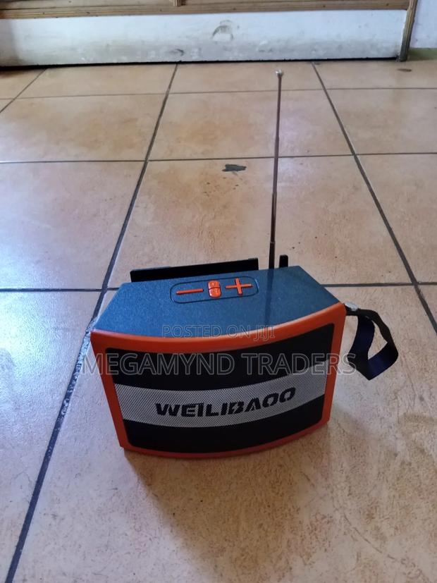 FM Radio Wireless Speaker/ Portable Bluetooth Speaker Extreme Bass