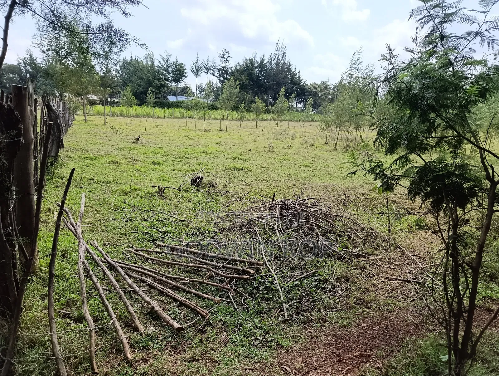1⁄2 Acre Plot for Sale in Kapsaret, St. Georges