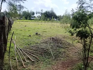 1⁄2 Acre Plot for Sale in Kapsaret, St. Georges