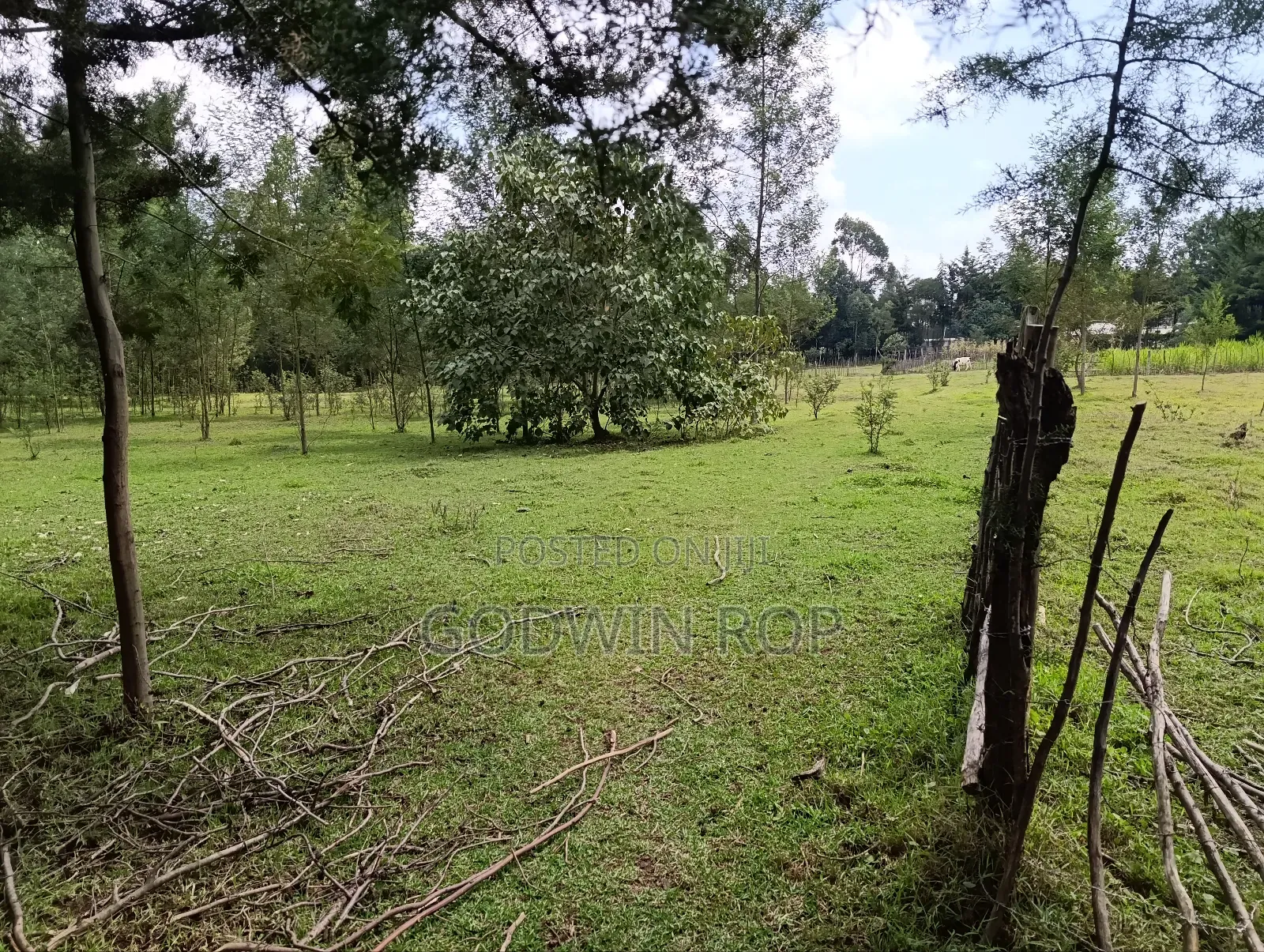 1⁄2 Acre Plot for Sale in Kapsaret, St. Georges