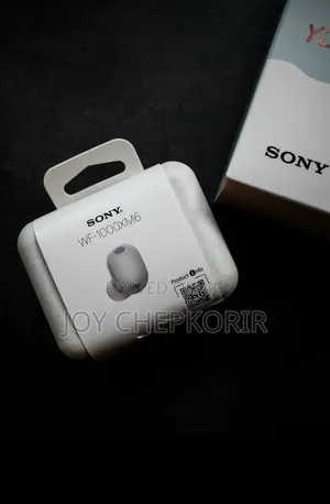 New Sony WF-1000XM6 Earbuds