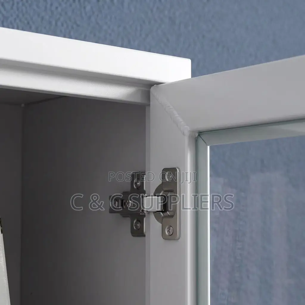 2-Swing Door Full Glass Storage Cabinet