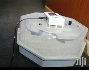 60 Egg Incubator Machine