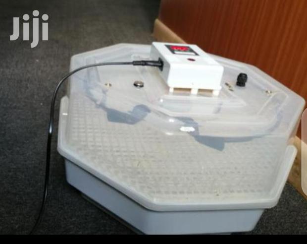 60 Egg Incubator Machine