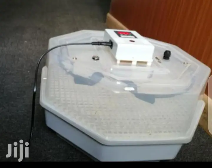 60 Egg Incubator Machine
