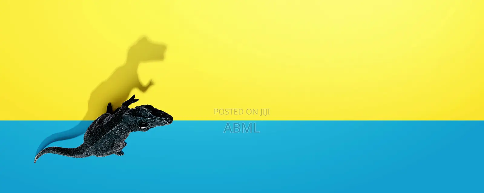 Grow Your Brand With Stunning Social Media Designs Animations