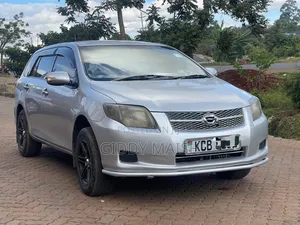 Toyota Corolla Fielder 2008 Silver