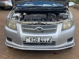 Toyota Corolla Fielder 2008 Silver