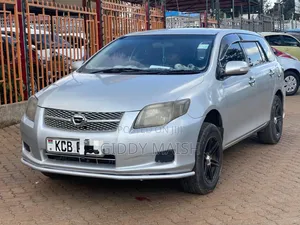 Toyota Corolla Fielder 2008 Silver