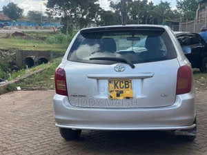 Toyota Corolla Fielder 2008 Silver