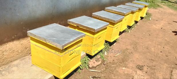 Langstroth Bee Hives - main view