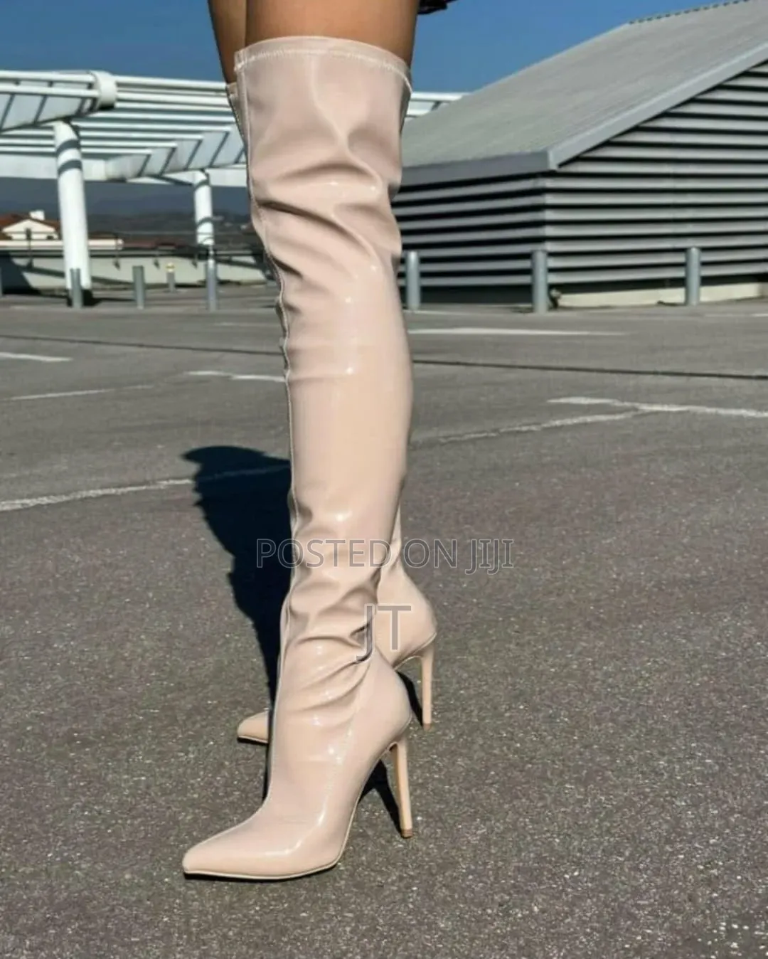 Shiny Snake Print Stilleto Thigh Boots