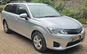 Toyota Corolla Fielder 2013 Silver