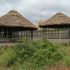 Makuti Gazebo, Shades and Suppliers
