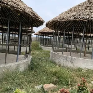 Makuti Gazebo, Shades and Suppliers