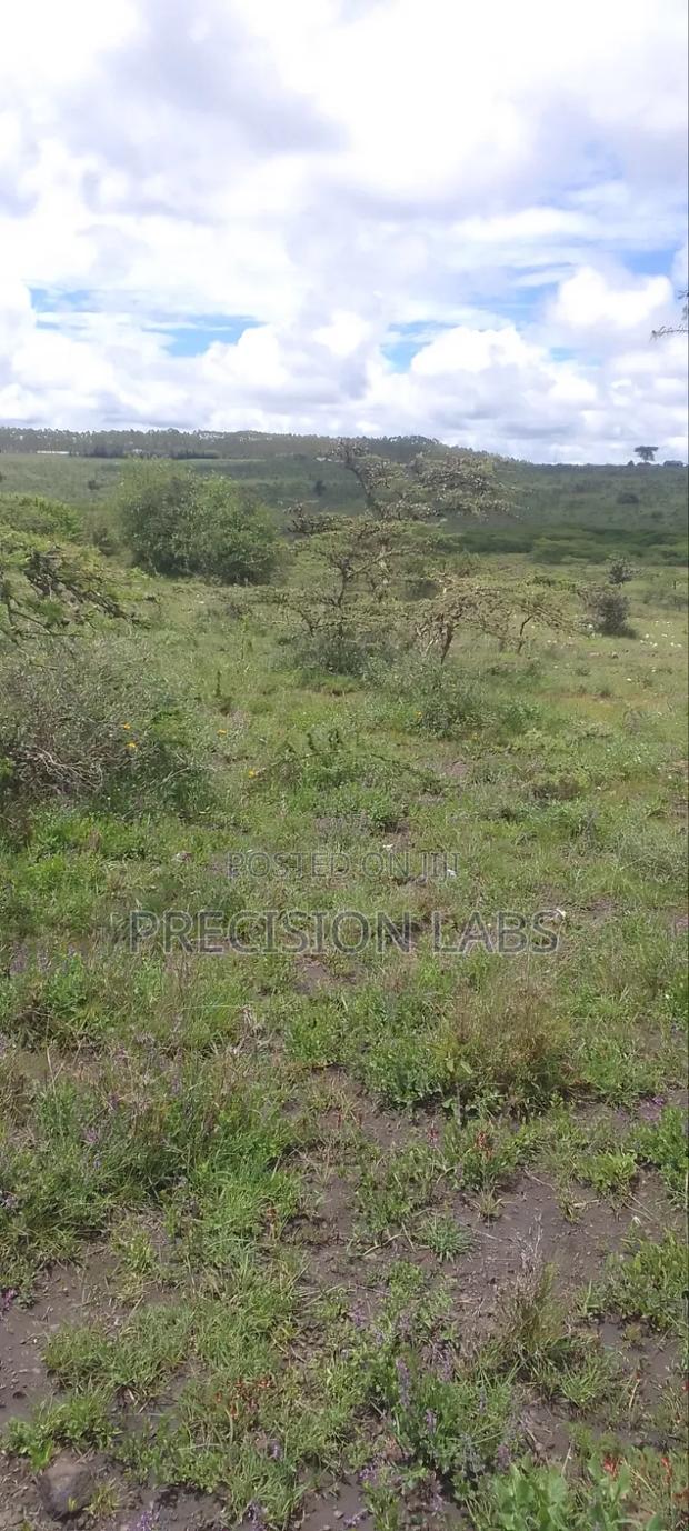 Land for Sale - main view