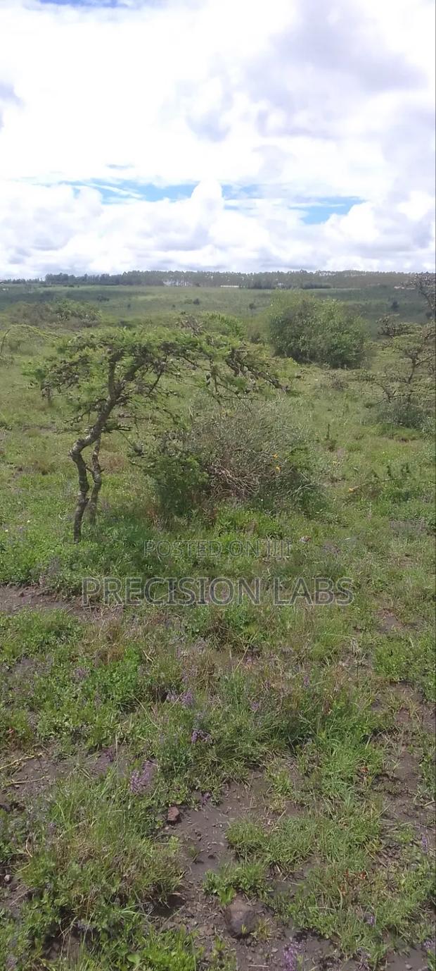 Land for Sale - thumbnail 2
