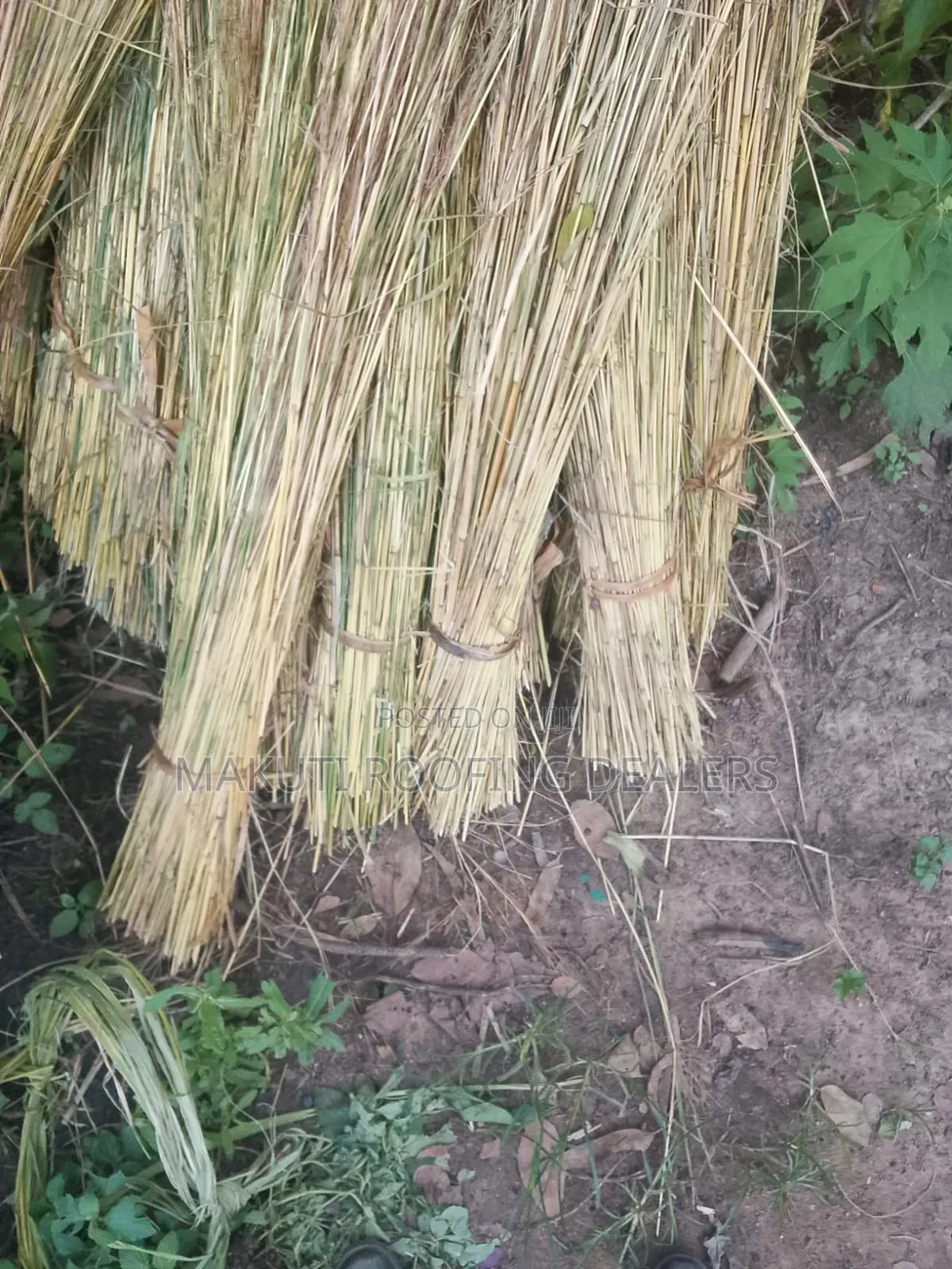 Thatching Grass for Sale Kisumu
