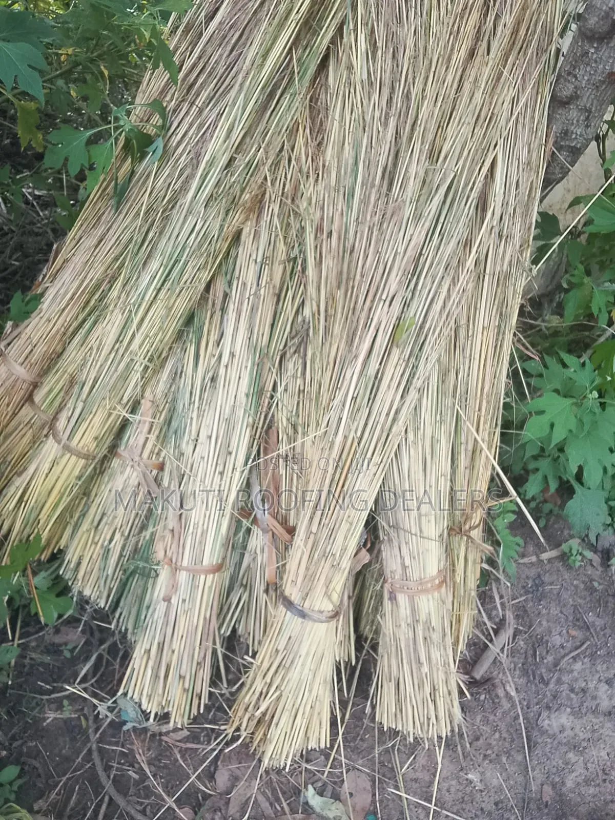 Thatching Grass for Sale Kisumu