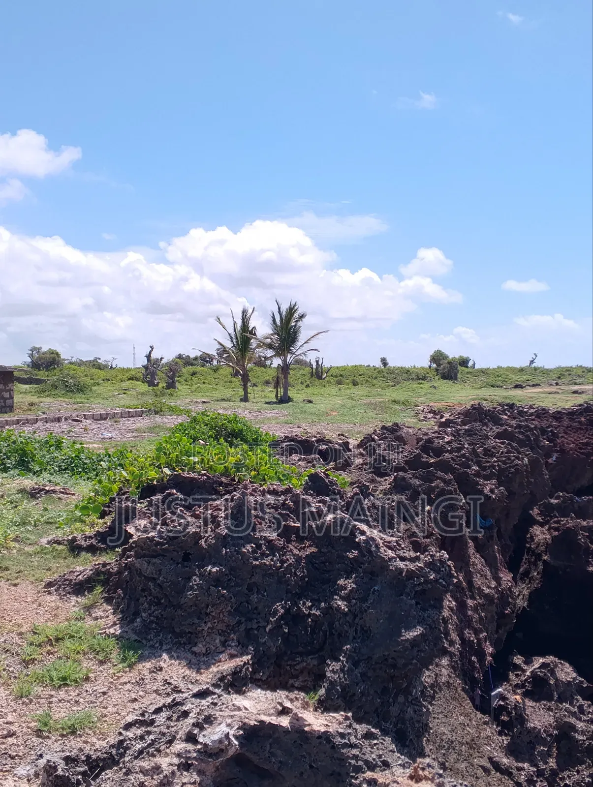 100 by 100 Coral Beach Plot on Sale in Malindi.