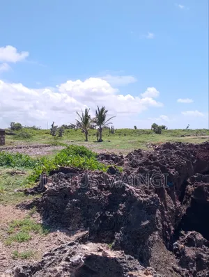 100 by 100 Coral Beach Plot on Sale in Malindi.