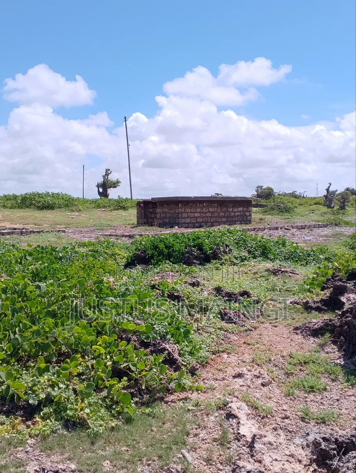 100 by 100 Coral Beach Plot on Sale in Malindi.