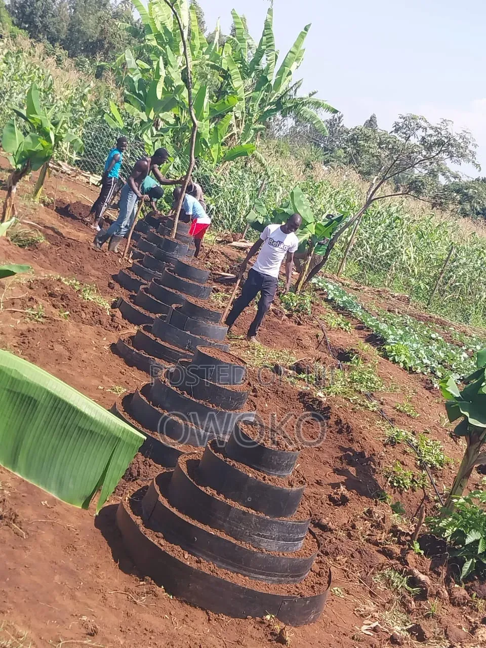Smart Agriculture Teacher