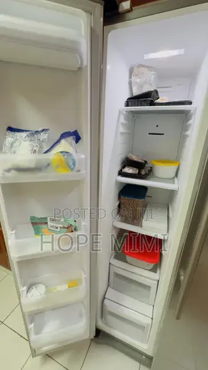 Double Door Fridge