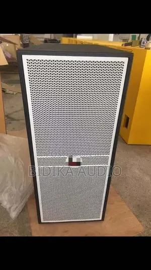 Professional Dual 15-Inch Two-Way PA Loudspeaker