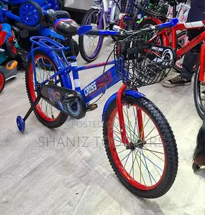 Size 20 Kids Bike for Boys (Strong Comfortable Ride)