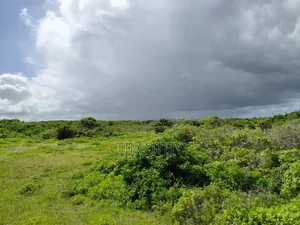 Kilifi Plot 50 by 100 at Only.