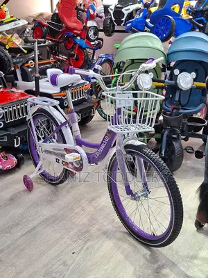 Stylish Girls Bike S- 20 (Comfortable Easy to Ride)