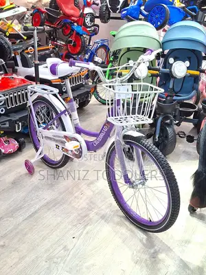 Stylish Girls Bike S- 20 (Comfortable Easy to Ride)