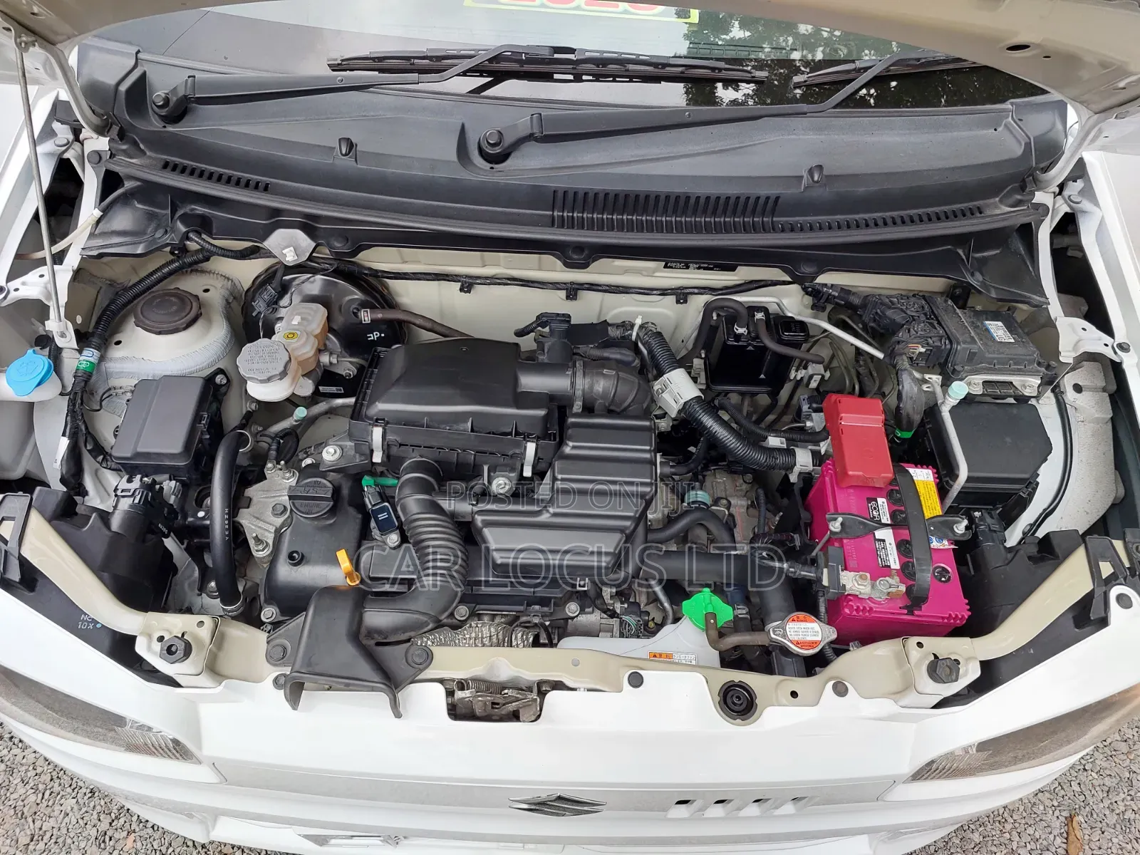 Suzuki Alto 2020 Pearl