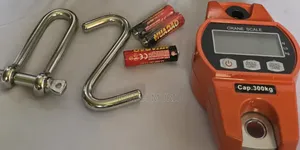 Industrial 300kg Crane Scale With LED Display