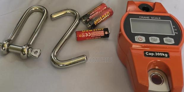 Industrial 300kg Crane Scale With LED Display