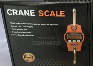 Portable 300kg Electronic Weighing Crane Scale