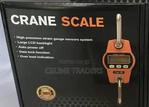 Portable 300kg Electronic Weighing Crane Scale