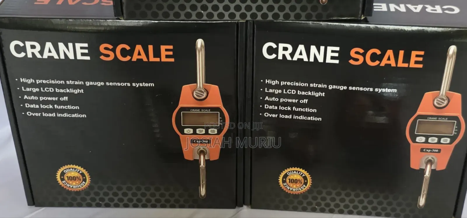 300kg Electronic Crane Weighing Scale