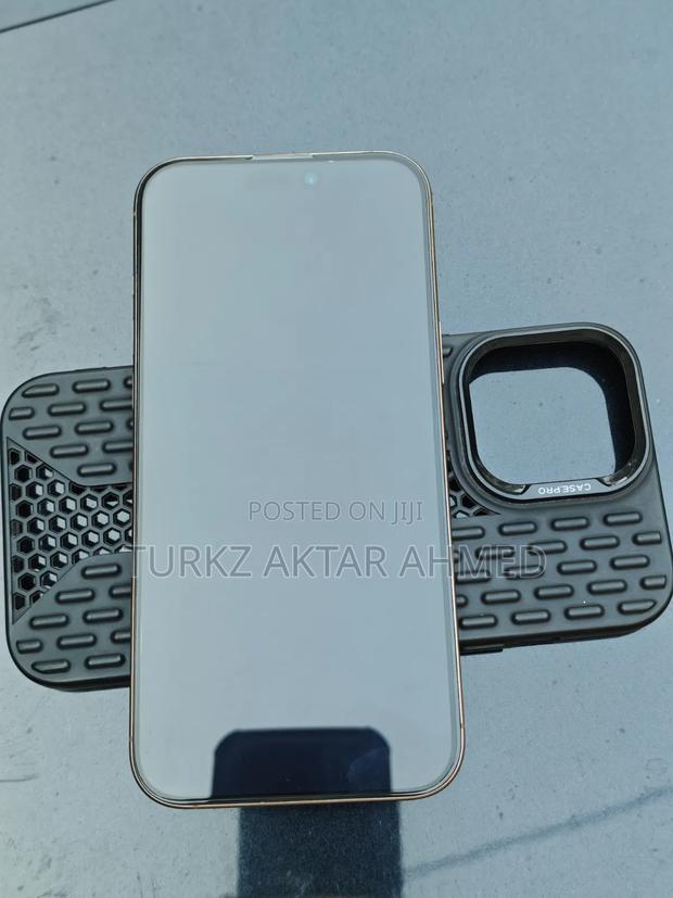 Apple iPhone 16 Pro Max 256 GB Gold - thumbnail 8