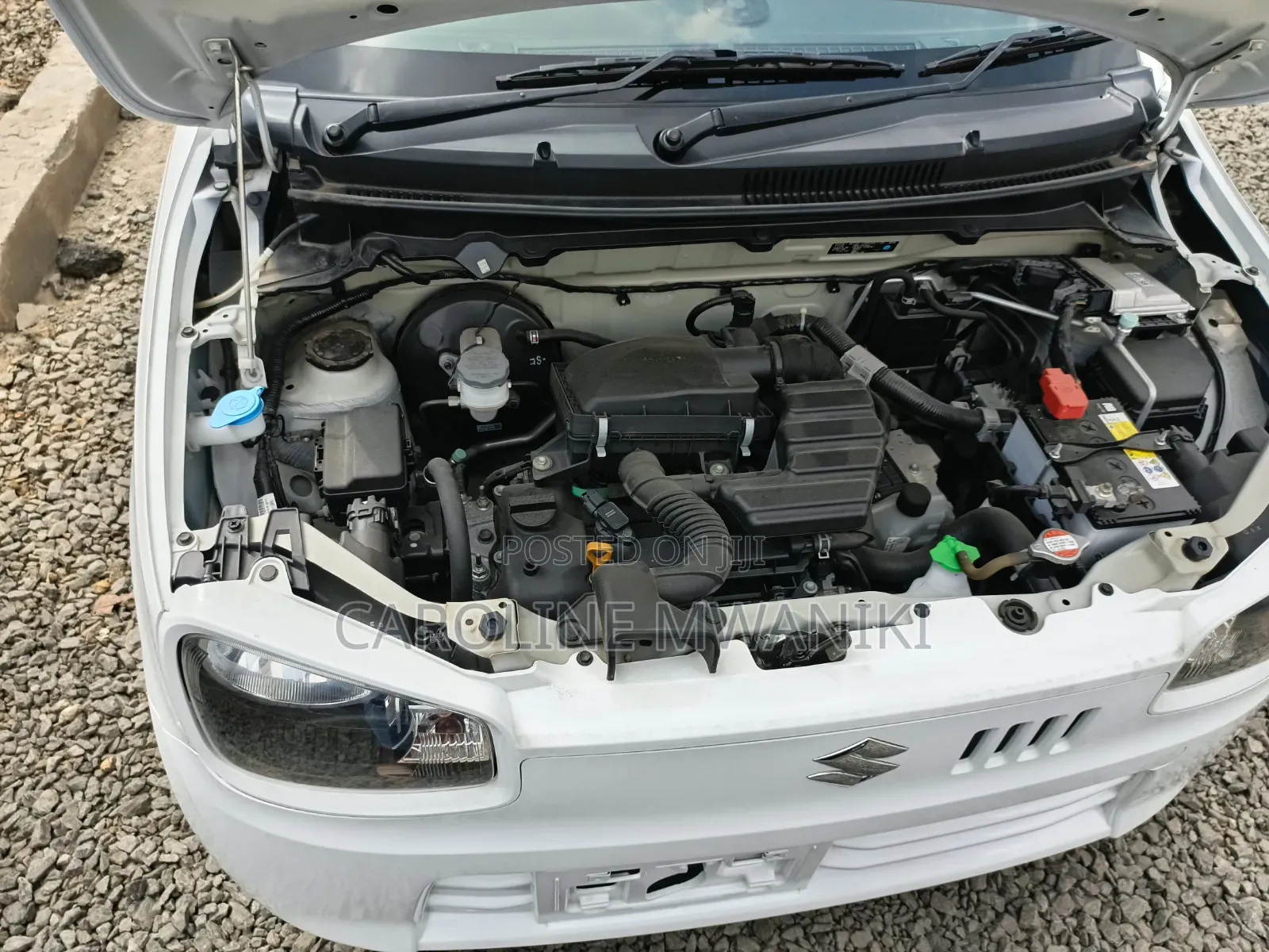 Suzuki Alto 2019 Pearl