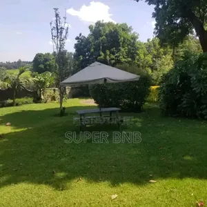 Airbnb 3 Bedroom Tigoni, Limuru Road for Partying