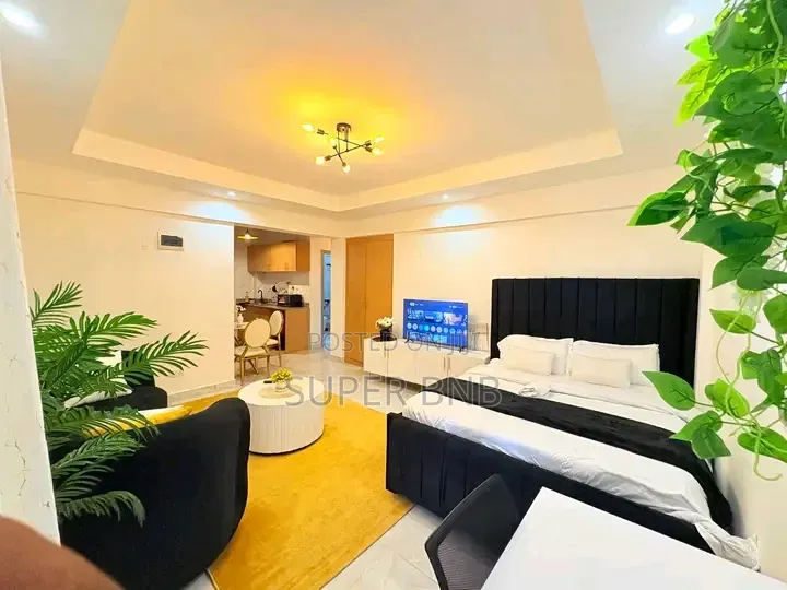 Spacious and Cozy Studio Airbnb in Kileleshwa