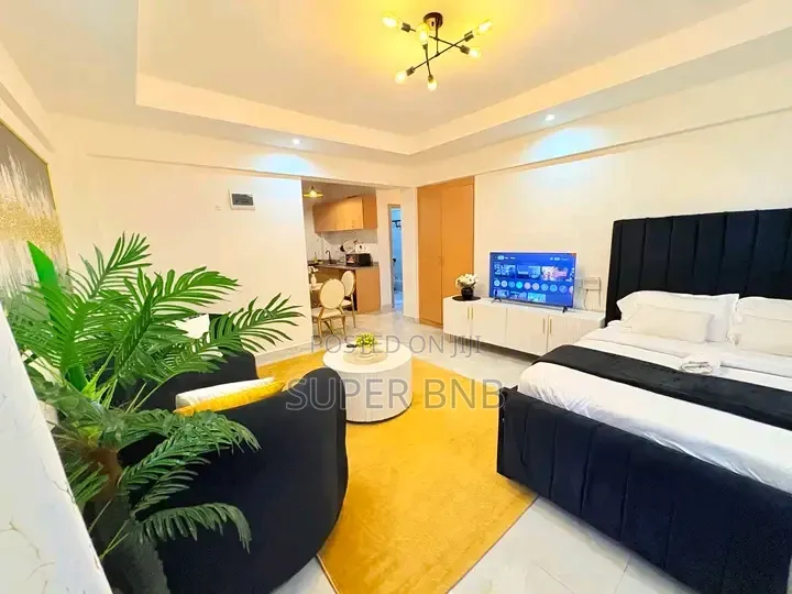Spacious and Cozy Studio Airbnb in Kileleshwa