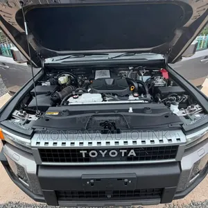 Toyota Land Cruiser LC250 2024 Brown