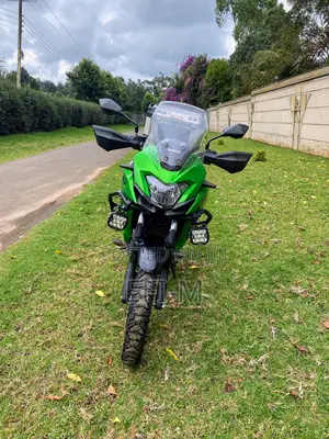 Kawasaki Versys X300 2017 Green
