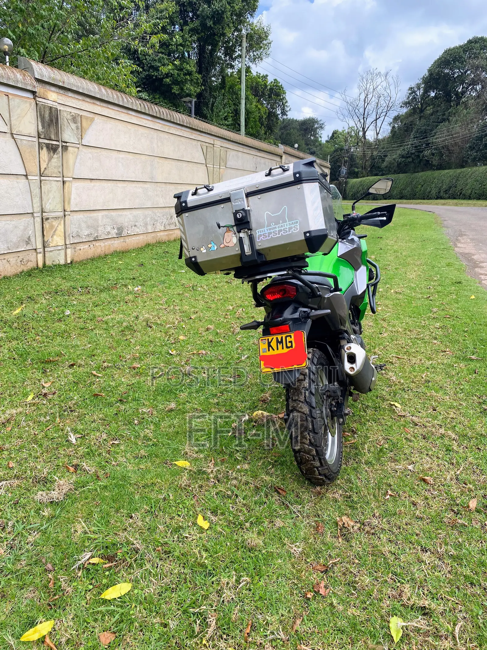Kawasaki Versys X300 2017 Green