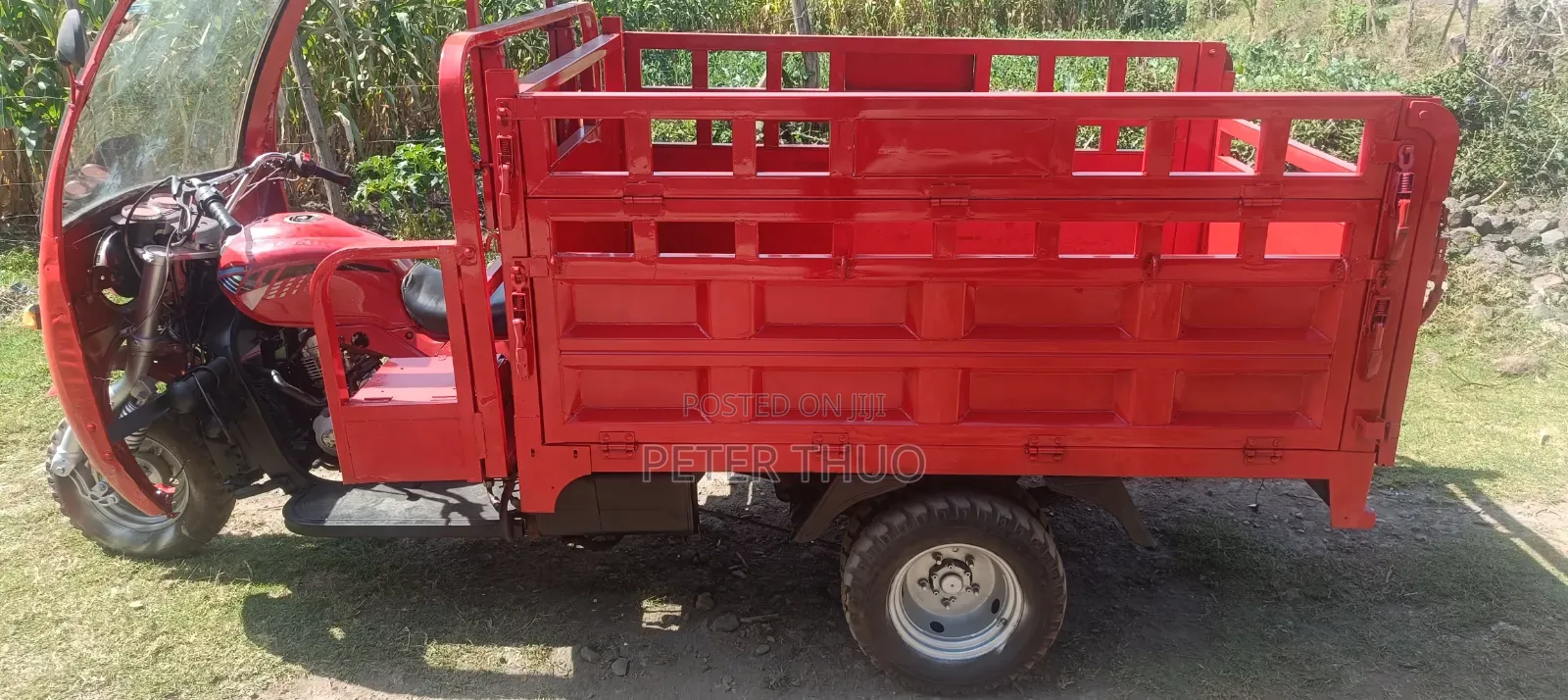Captain CP175 2020 Red